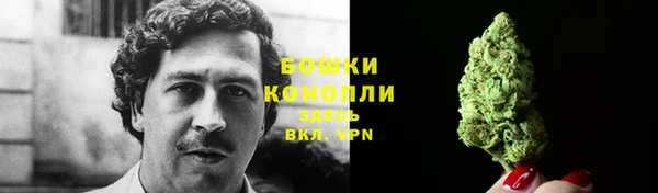 дживик Белоозёрский