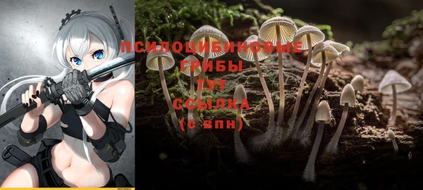 МДМА Белокуриха