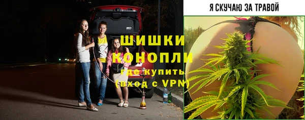 МДМА Белокуриха