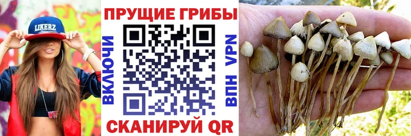 Псилоцибиновые грибы MAGIC MUSHROOMS  Надым 